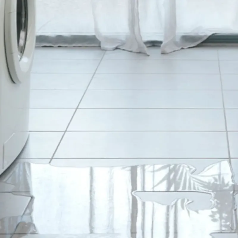 Appliance Leak Cleanup in Bristol, WI