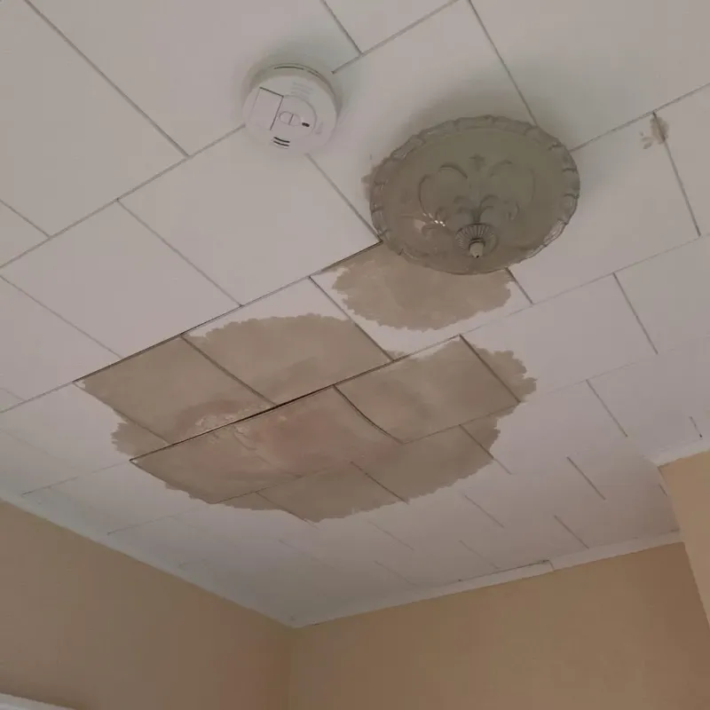 Ceiling Water Damage Repair in Bristol, WI