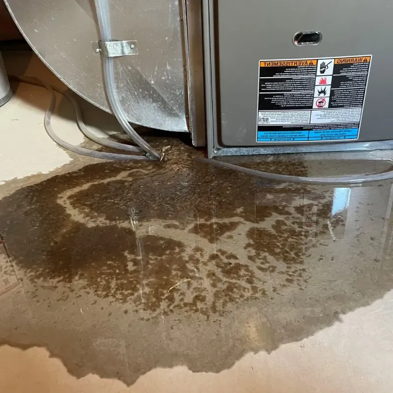 Pipe Burst and Leak Restoration in Bristol, WI