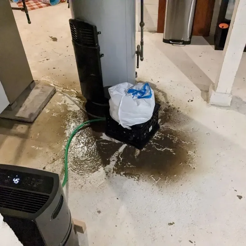 Sewage Backup Cleanup Service in Bristol, WI